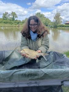 Common Bream