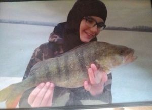 European Perch