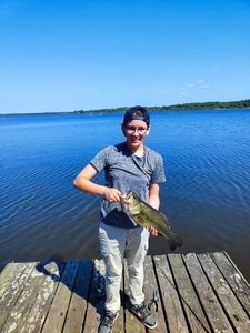 Largemouth Bass