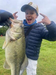 Largemouth Bass