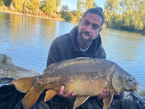 Mirror Carp