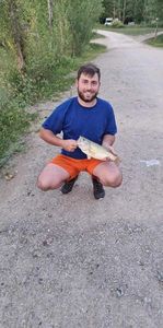 Largemouth Bass