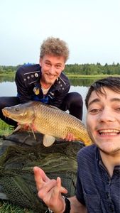Common Carp