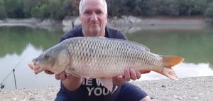 Common Carp