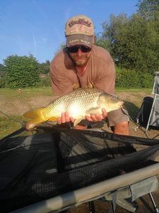 Common Carp