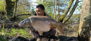 Mirror Carp