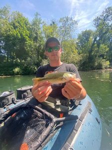 Largemouth Bass