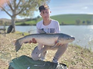 Grass Carp