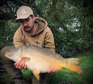 Mirror Carp