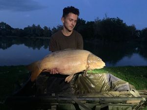 Mirror Carp