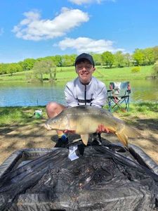 Mirror Carp
