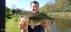 Largemouth Bass