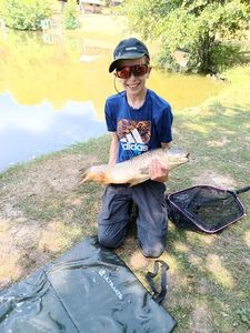 Common Carp