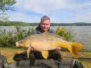 Mirror Carp