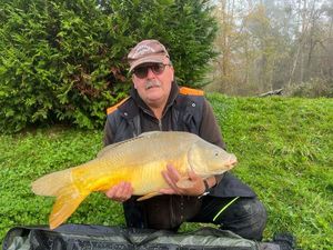 Mirror Carp