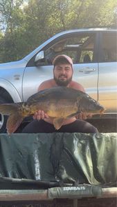 Leather Carp