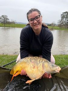 Mirror Carp