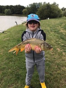 Mirror Carp