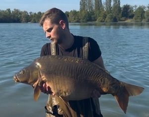 Mirror Carp