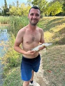 Northern Pike