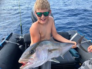 Greater Amberjack