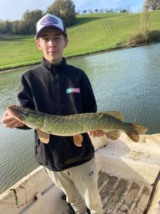 Northern Pike