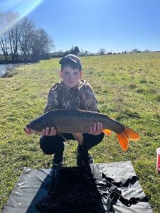 Common Carp