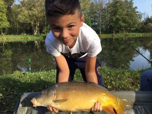 Mirror Carp