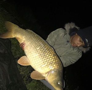 Common Carp