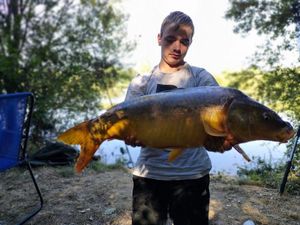 Mirror Carp