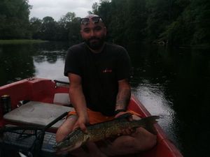 Northern Pike