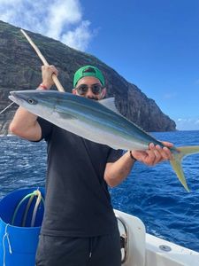 Rainbow Runner