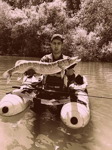 Northern Pike