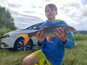 Barbel