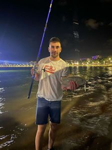 Mangrove Red Snapper