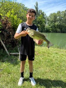 Smallmouth Bass