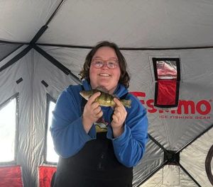 Yellow Perch