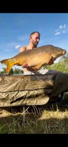 Mirror Carp