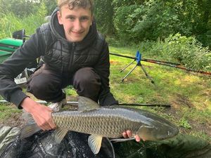 Grass Carp