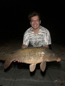 Common Carp