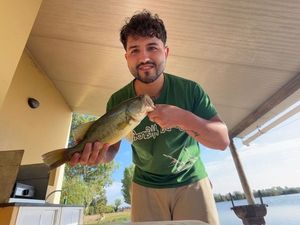 Largemouth Bass