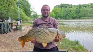Common Carp