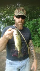 Largemouth Bass
