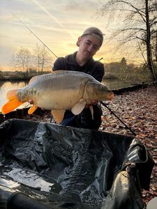 Mirror Carp