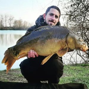 Mirror Carp