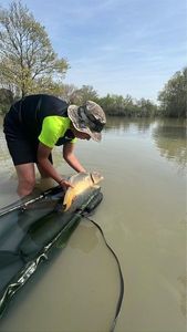 Leather Carp