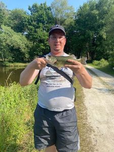Smallmouth Bass