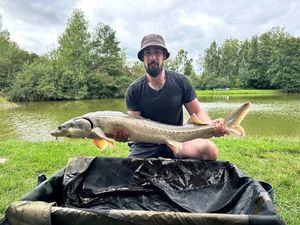Sturgeon