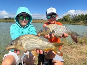Common Carp