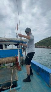 Great Barracuda